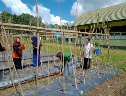 Dukung Ketahanan Pangan, SMKN 5 Baubau Siapkan 12 Are Lahan Tanam Tiga Komoditas