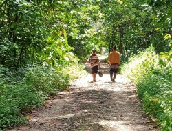 Akses Jalan Masuk SMKN 5 Baubau Sepanjang 800 Meter Memprihatinkan