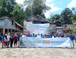RRI Baubau-PT PELNI Kolaborasi Tanam 500 Mangrove di Pesisir Kolese