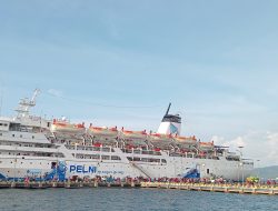 Pelni Baubau Catat Penumpang Lebaran Idul Fitri 2026 Capai 48.489 Orang