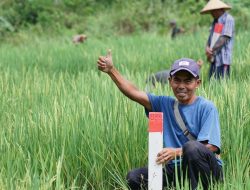 Mudik ke Kampung Halaman? Jaga Batas Tanah sebagai Langkah Awal Cegah Konflik Antartetangga