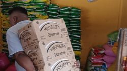 Bulog Baubau Distribusi Minyakita 8.900 Liter di Pasaran